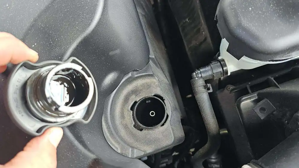 Range Rover Sport V8 S.C Dynamic 2019 photo 14