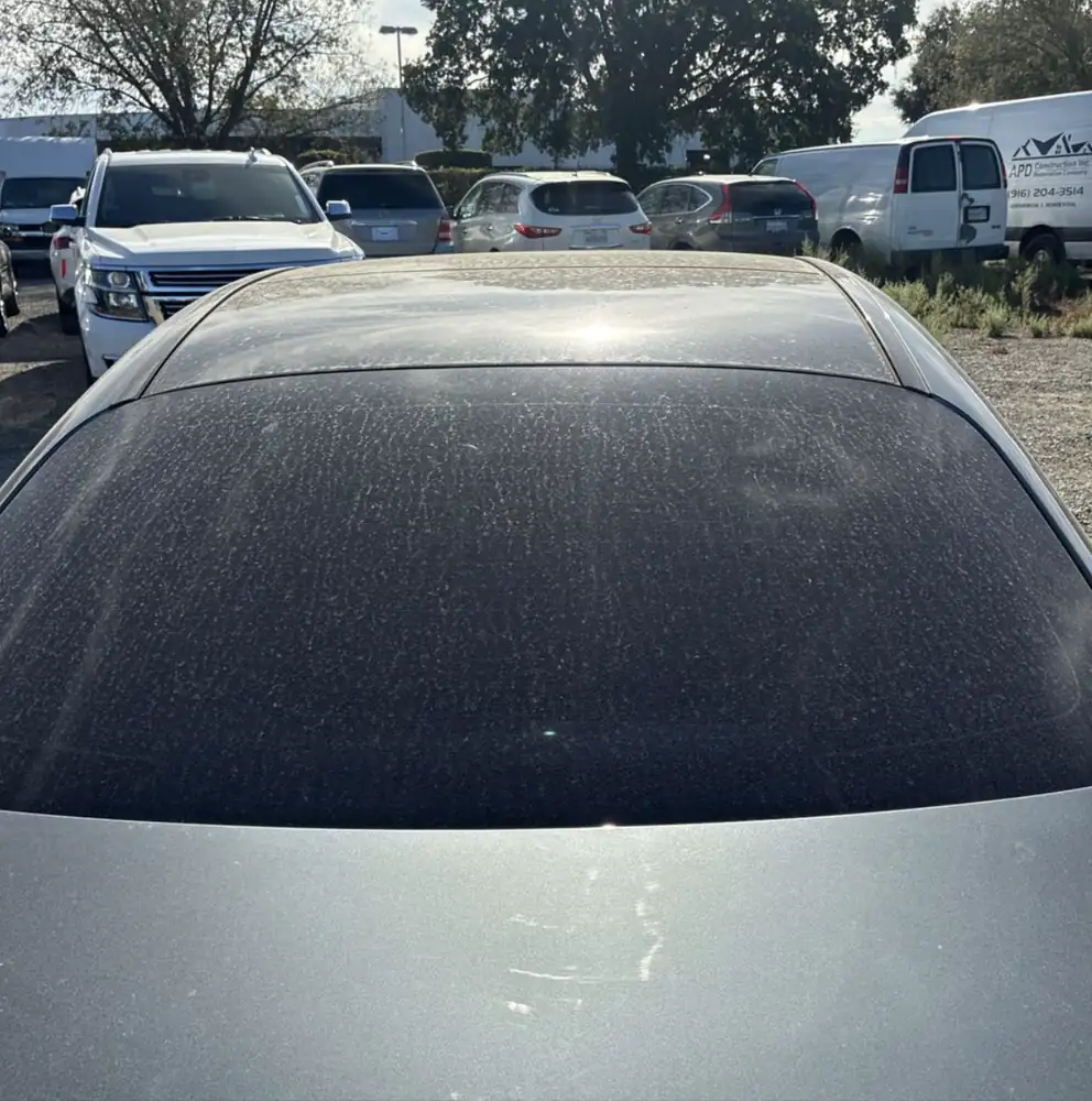 Mercedes-Benz C300 AMG 2020 photo 17